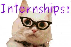 internships_cat